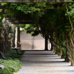 Little girl playing in the Ivy corridors of the Biltmore Estate in summer.