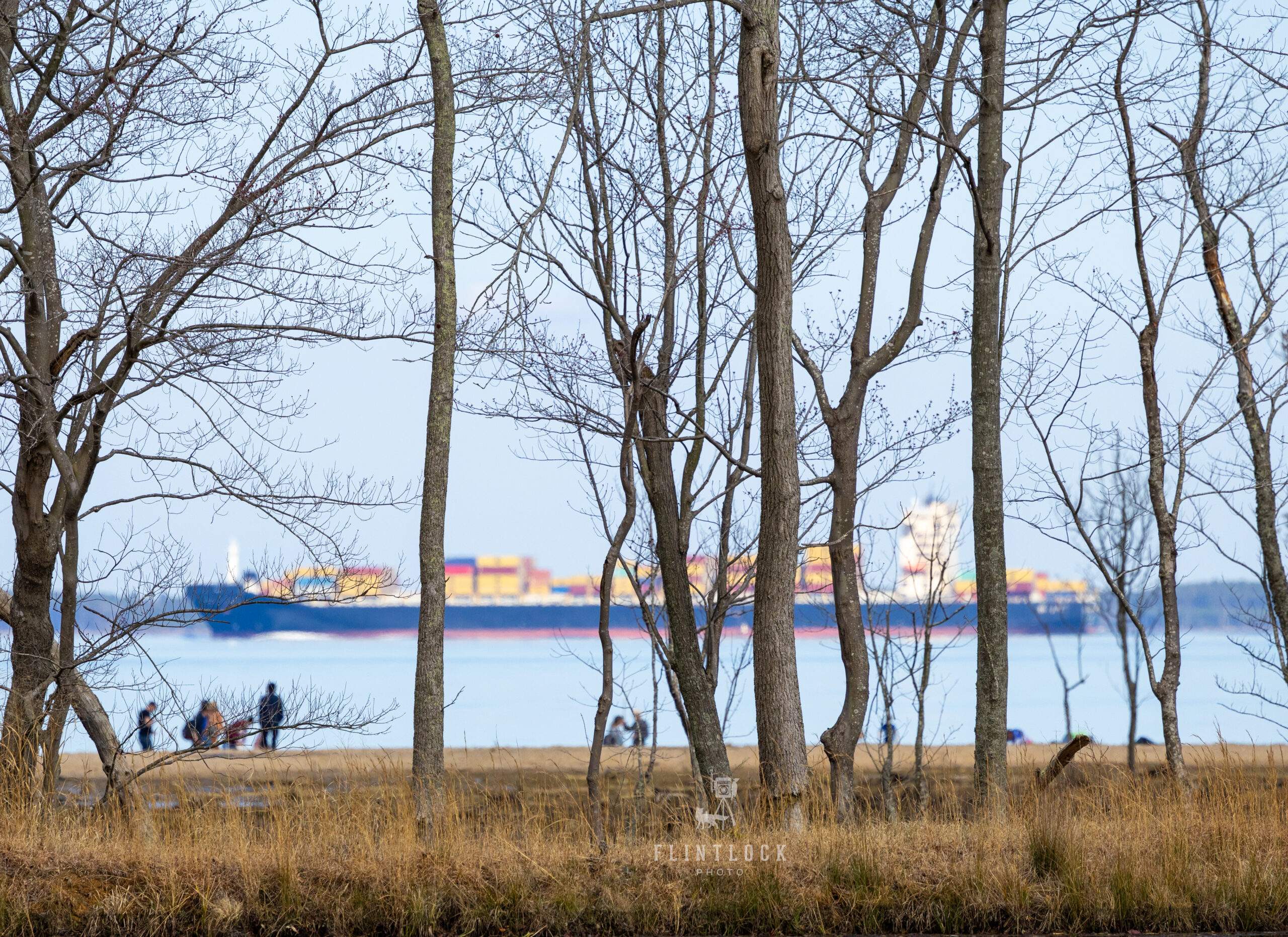 A Container Ship Passing Calvert Cliffs Shoreline